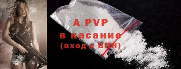 МДПВ Каменногорск