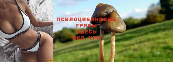 МДПВ Каменногорск