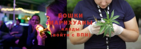 a pvp Каменка