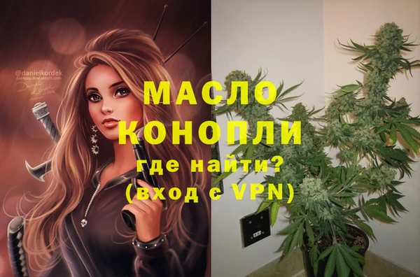 МДПВ Каменногорск