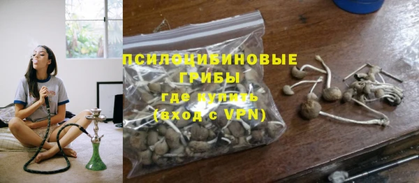 МДПВ Каменногорск