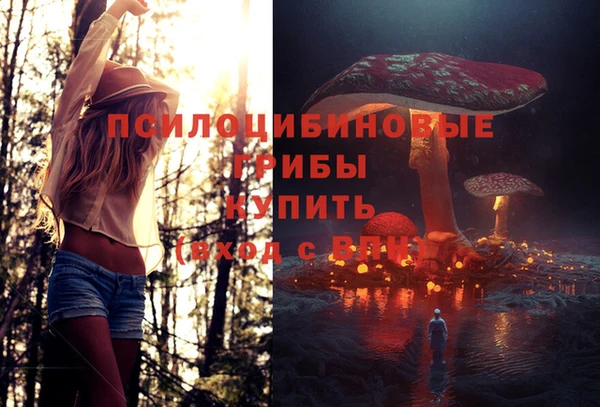 ECSTASY Каменск-Шахтинский