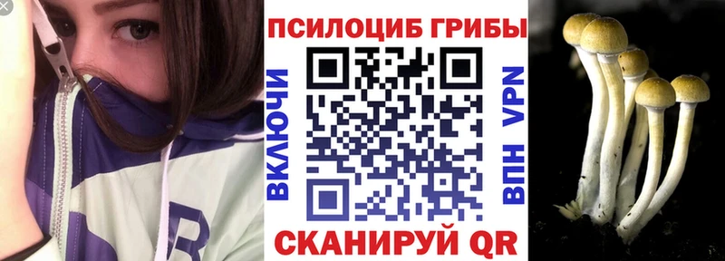 Купить где  Дно  Галлюциногенные грибы мухоморы 